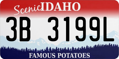ID license plate 3B3199L