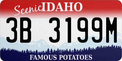 ID license plate 3B3199M