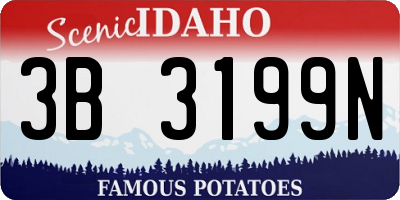 ID license plate 3B3199N