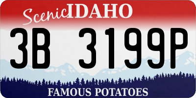ID license plate 3B3199P