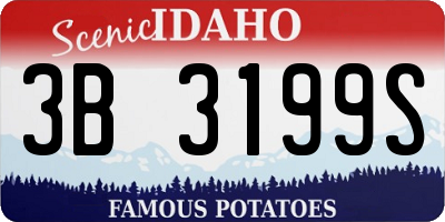 ID license plate 3B3199S