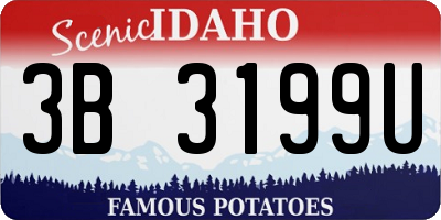 ID license plate 3B3199U