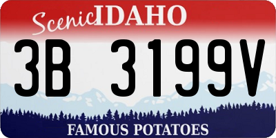 ID license plate 3B3199V