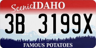 ID license plate 3B3199X