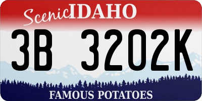 ID license plate 3B3202K