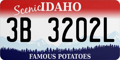 ID license plate 3B3202L