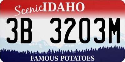 ID license plate 3B3203M