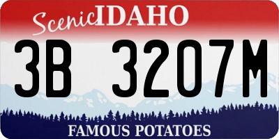 ID license plate 3B3207M
