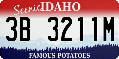 ID license plate 3B3211M
