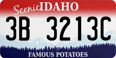 ID license plate 3B3213C