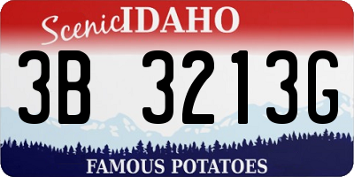 ID license plate 3B3213G