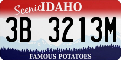 ID license plate 3B3213M