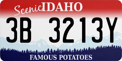 ID license plate 3B3213Y