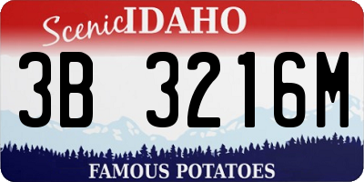 ID license plate 3B3216M