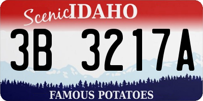 ID license plate 3B3217A