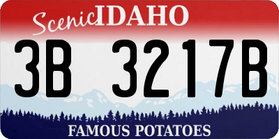 ID license plate 3B3217B