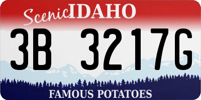 ID license plate 3B3217G