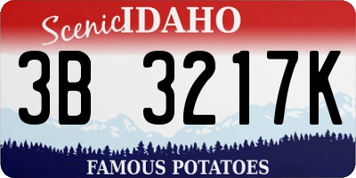ID license plate 3B3217K