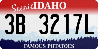ID license plate 3B3217L
