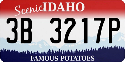 ID license plate 3B3217P
