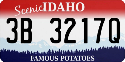 ID license plate 3B3217Q
