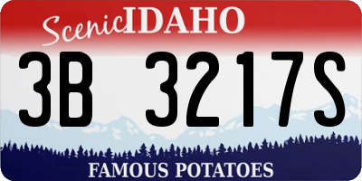 ID license plate 3B3217S