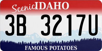 ID license plate 3B3217U