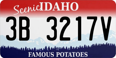 ID license plate 3B3217V