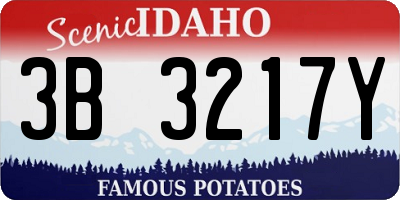 ID license plate 3B3217Y