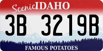 ID license plate 3B3219B