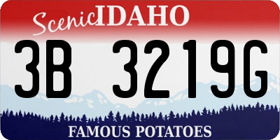 ID license plate 3B3219G