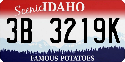 ID license plate 3B3219K