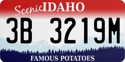 ID license plate 3B3219M