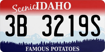 ID license plate 3B3219S