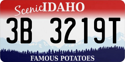 ID license plate 3B3219T