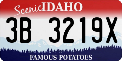 ID license plate 3B3219X