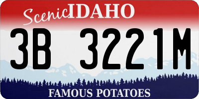 ID license plate 3B3221M