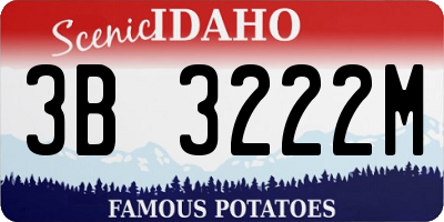 ID license plate 3B3222M