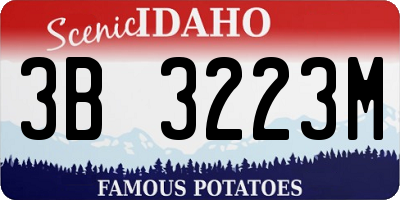 ID license plate 3B3223M