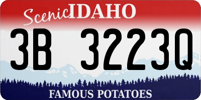 ID license plate 3B3223Q