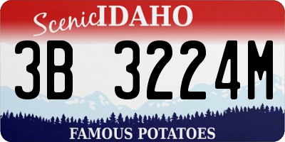 ID license plate 3B3224M