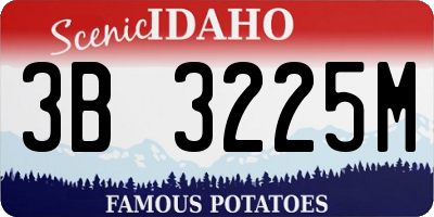 ID license plate 3B3225M