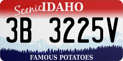ID license plate 3B3225V