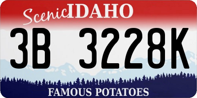 ID license plate 3B3228K