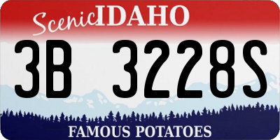 ID license plate 3B3228S