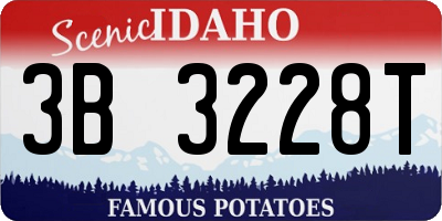 ID license plate 3B3228T