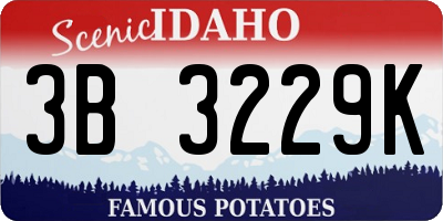 ID license plate 3B3229K