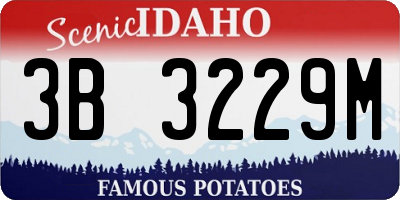 ID license plate 3B3229M