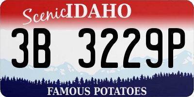ID license plate 3B3229P