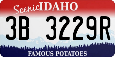 ID license plate 3B3229R